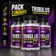 Pack 3 Tribulus Testo UP 60 Cápsulas – 95% Saponinas – Real Pharm